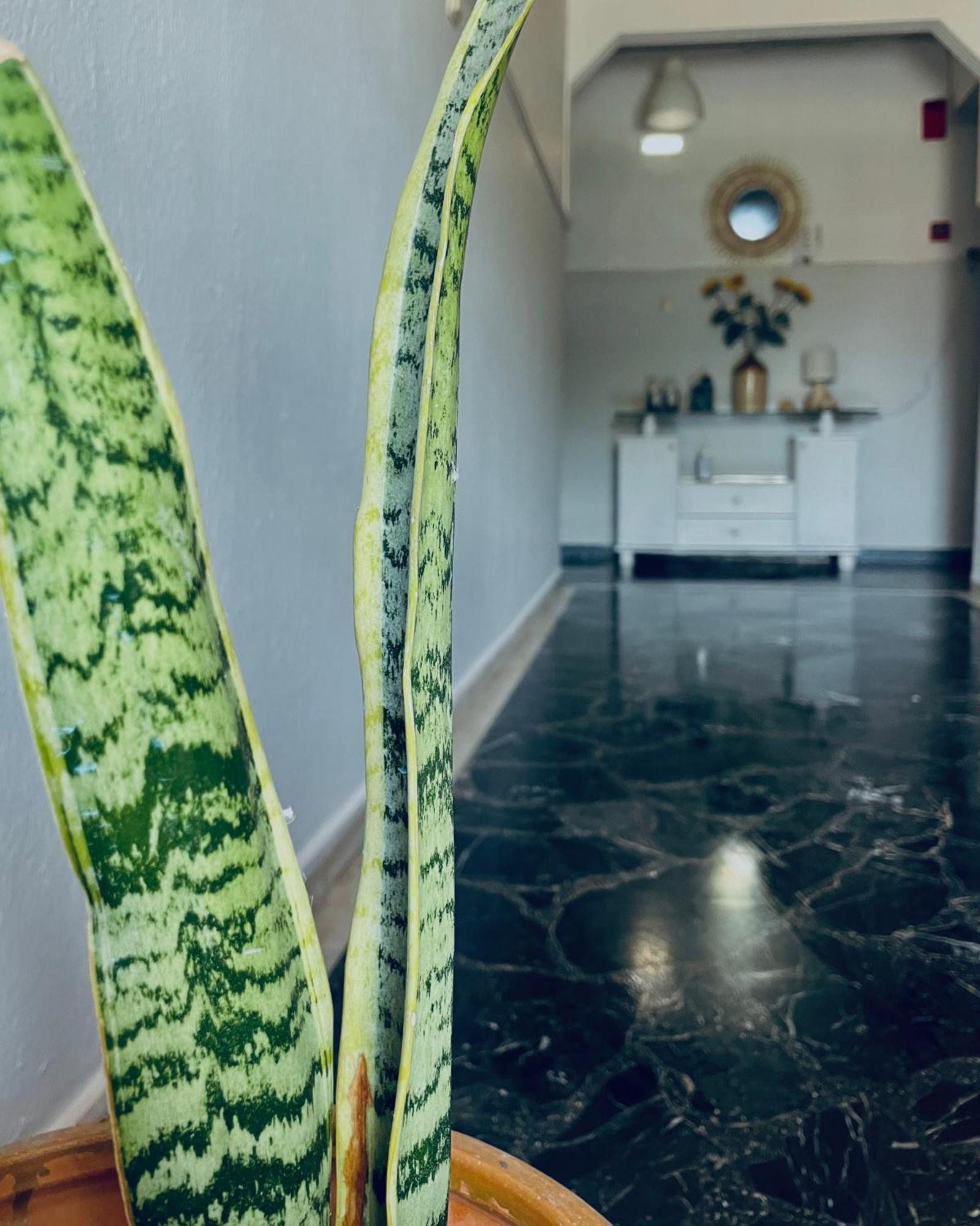 Aktaion Hotel Skala Alykis 外观 照片
