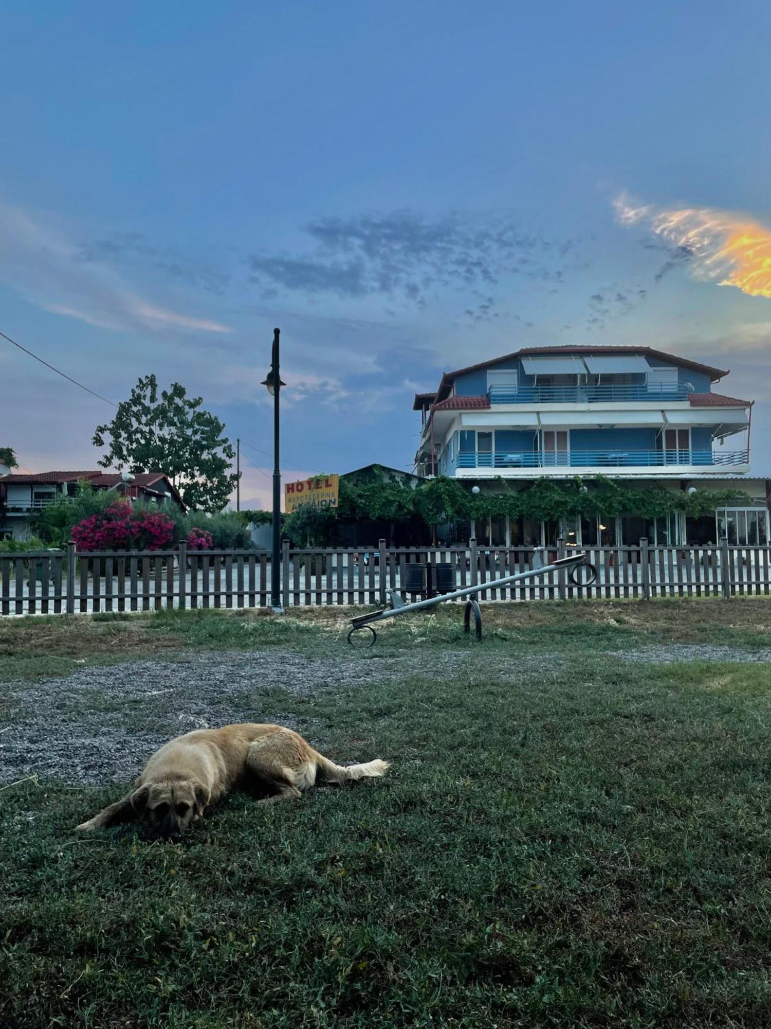 Aktaion Hotel Skala Alykis 外观 照片