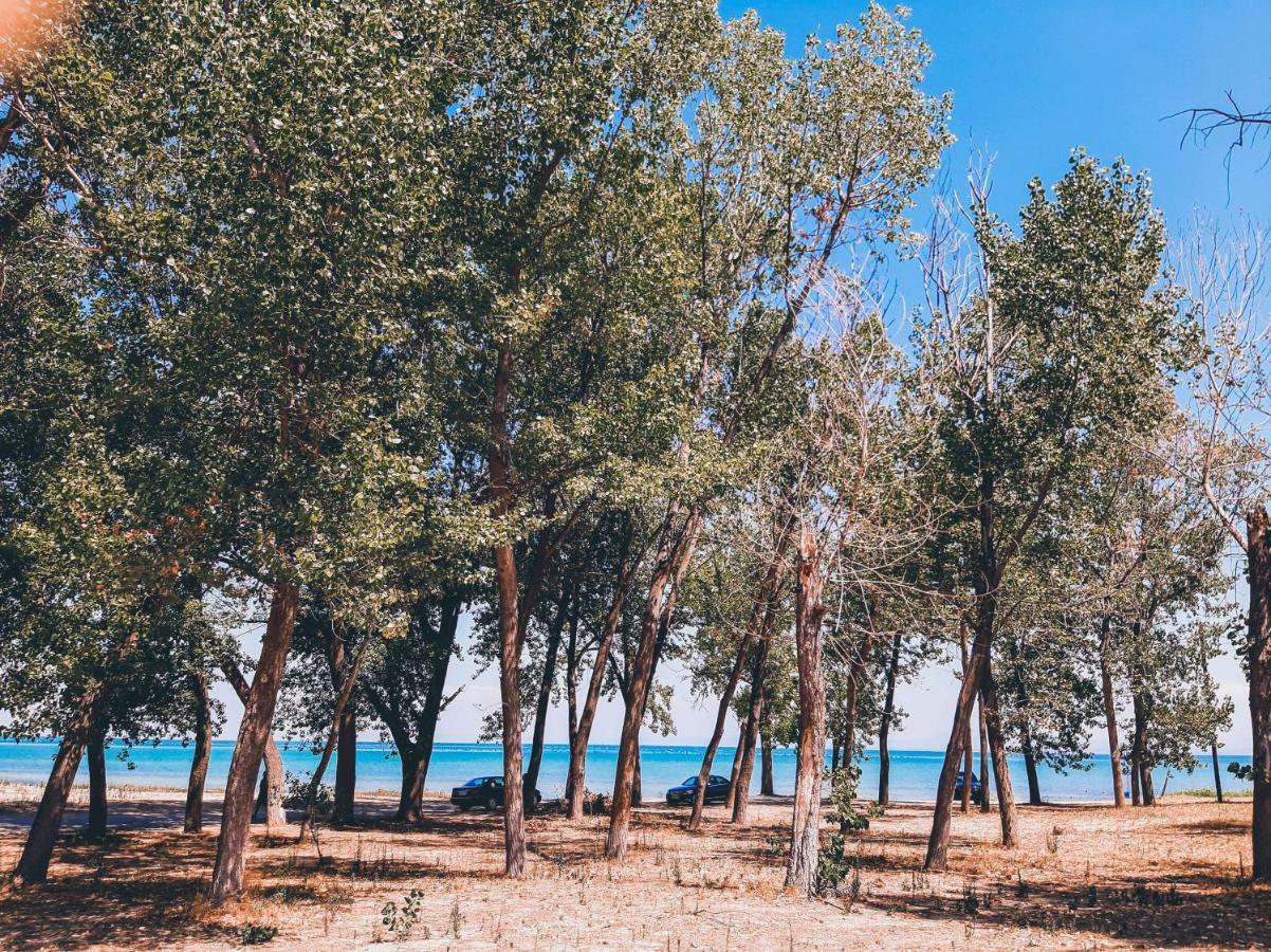 Aktaion Hotel Skala Alykis 外观 照片